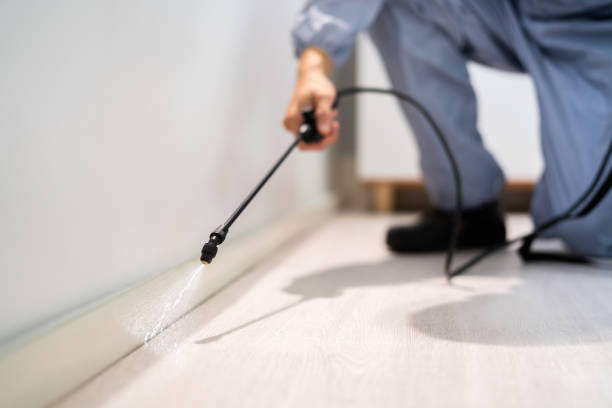 Licensed Wasp Removal service in Mexia, TX - Show Me Pest Control