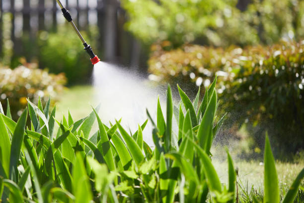 24/7 Emergency Wasp Removal experts in Mexia, TX