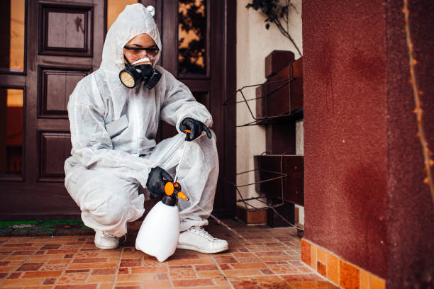 Reliable Wasp Removal contractor in Mexia, TX by Show Me Pest Control