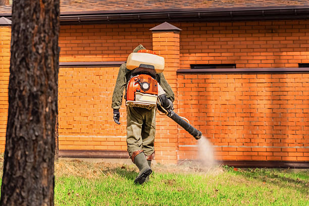 Top rated local Wasp Removal specialists in Mexia, TX
